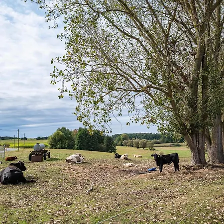 Prázdninový dům Moderner Bungalow, Rollstuhlgerecht Warnow (Rostock)